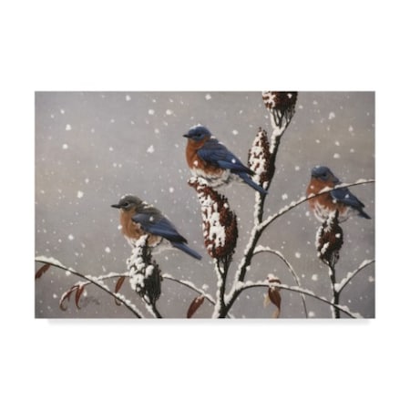 TRADEMARK FINE ART Wilhelm Goebel 'Winter Trio' Canvas Art, 16x24 ALI33824-C1624GG